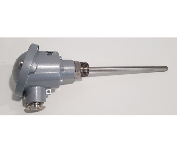 TERMORESISTENZA PS3BZ3C500X---T PT100 3 FILI TESTA DIN B d.6 L= 500 mm